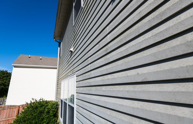 Expert Vinyl Siding Panel Replacement